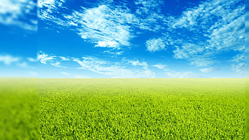 backgrounds | 1920Ã1080 Spring Backgrounds | Gallery HD wallpaper